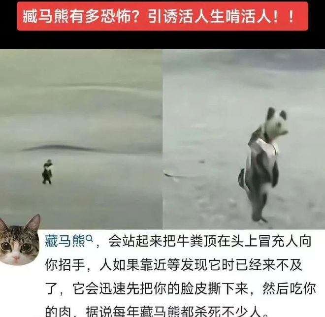 引诱活人并吃人”事件的真相pg模拟器电脑版藏马熊“(图20)