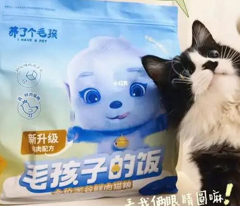 口粮！三只松鼠靠什么重返宠物食品赛道pg