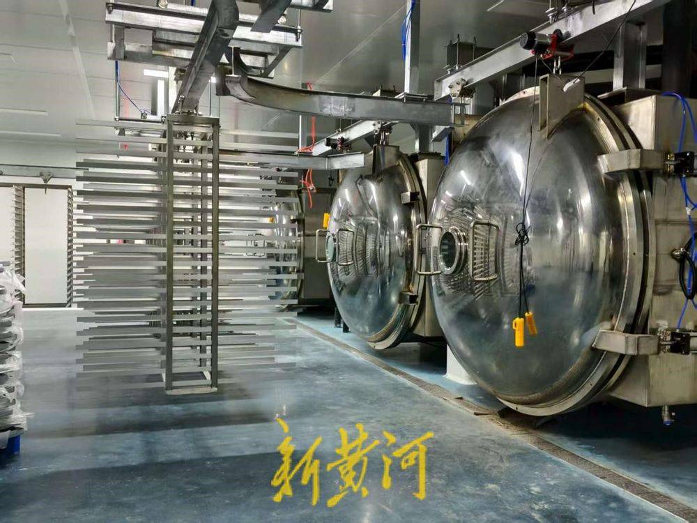 让萌宠“定制”产业破局腾飞pg模拟器电脑