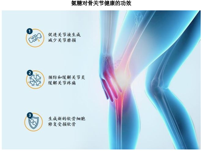 团：扎根运动健康赛道凭多元布局赢长远未来pg电子免费模拟器HMB全球龙头技源集(图7)