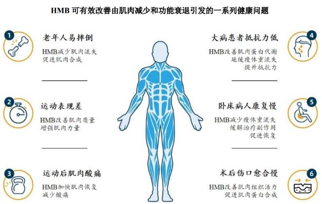 团：扎根运动健康赛道凭多元布局赢长远未来pg电子免费模拟器HMB全球龙头技源集(图6)