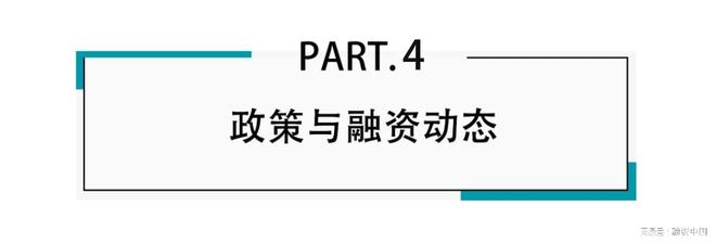 ：新家庭结构的消费镜像pg电子试玩宠物经济(图18)