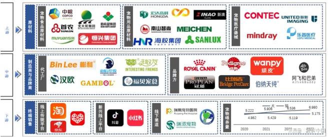 ：新家庭结构的消费镜像pg电子试玩宠物经济(图12)