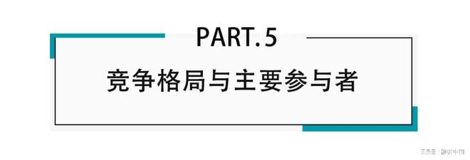 ：新家庭结构的消费镜像pg电子试玩宠物经济(图13)